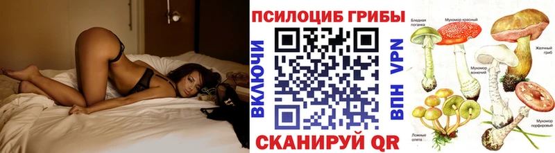 Купить  Обоянь  Псилоцибиновые грибы Psilocybine cubensis 